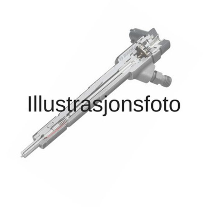 Hovedbilde INJEKTOR 0 45115007 - NY