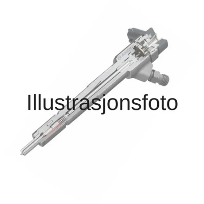 Hovedbilde INJEKTOR 0 45115007 - NY